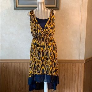 Princess Vera Wang maxi dress